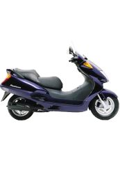 COPRIGAMBE PRO LEG C PANTHEON 125/150 (fino al 2002)