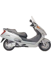 COPRIGAMBE PRO LEG C SV 250